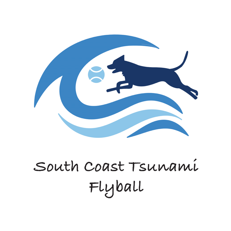 South Coast Tsunami Flyball