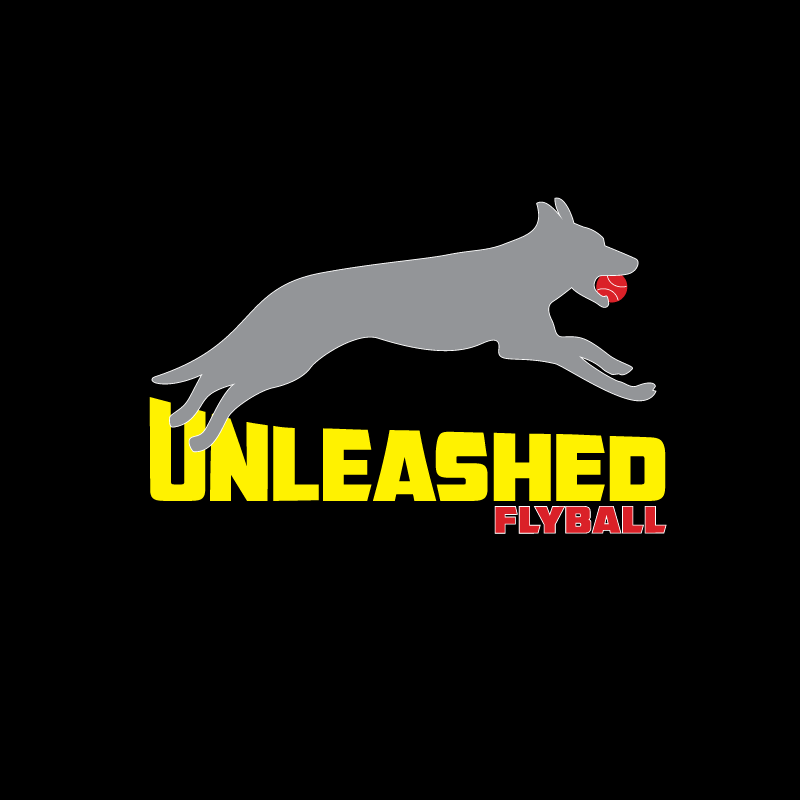 Unleashed Flyball